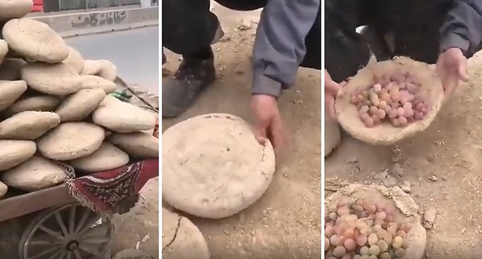 6 Ay Önce Dalından Koparılan Üzümlerin Toprak Kapsülün İçinde Tazeliğini Koruduğu İddia Edildi