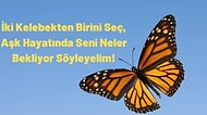 İki Kelebekten Birini Seç, Aşk Hayatında Seni Neler Bekliyor Söyleyelim!