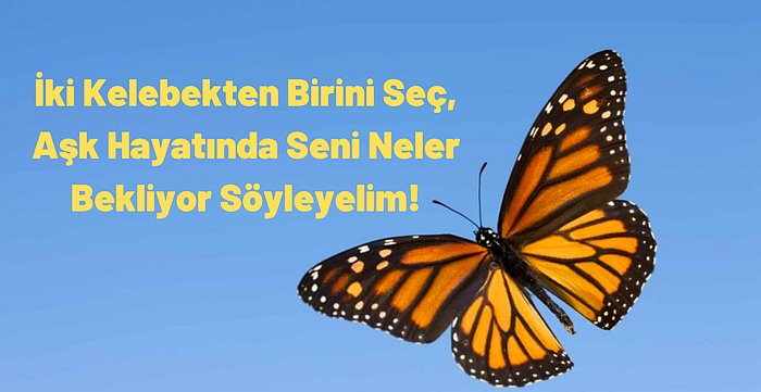 İki Kelebekten Birini Seç, Aşk Hayatında Seni Neler Bekliyor Söyleyelim!