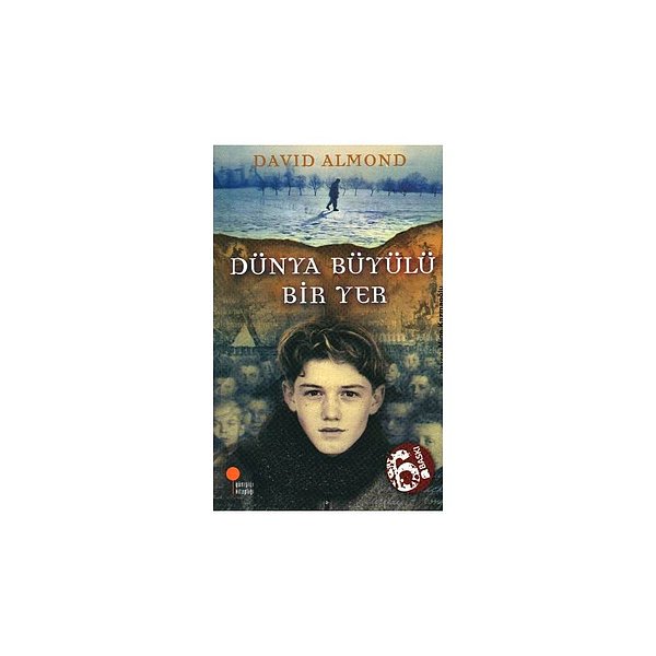 19. Dünya Büyülü Bir Yer - David Almond