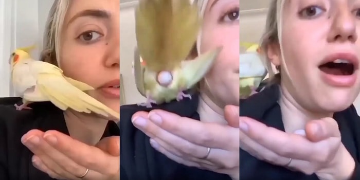 Omzunda Yumurtlayan Kuşunun Yumurtasını Tutan Kadının Mutluluk ve Şaşkınlık Dolu Anları