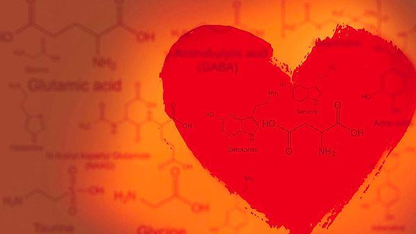 Bilim insanları, aşkın kimyasal bir tepkime olduğunu söylediğine göre kalp kırıklığına iyi gelecek bir tedavi yöntemi de olabilir.