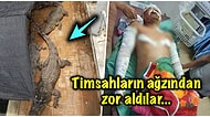 Timsahlarla Dolu Süs Havuzuna Çişini Yapmaya Çalışırken Dengesini Kaybedip Düşen Bahtsız Adam
