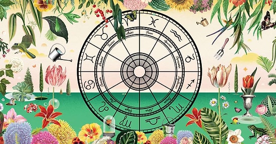 Bu Bilgileri Başka Yerde Bulamazsınız! Hangi Çiçek Hangi Burcu Temsil Ediyor?