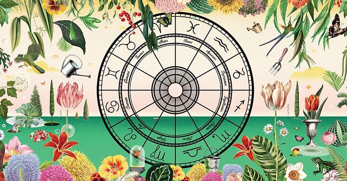 Bu Bilgileri Başka Yerde Bulamazsınız! Hangi Çiçek Hangi Burcu Temsil Ediyor?