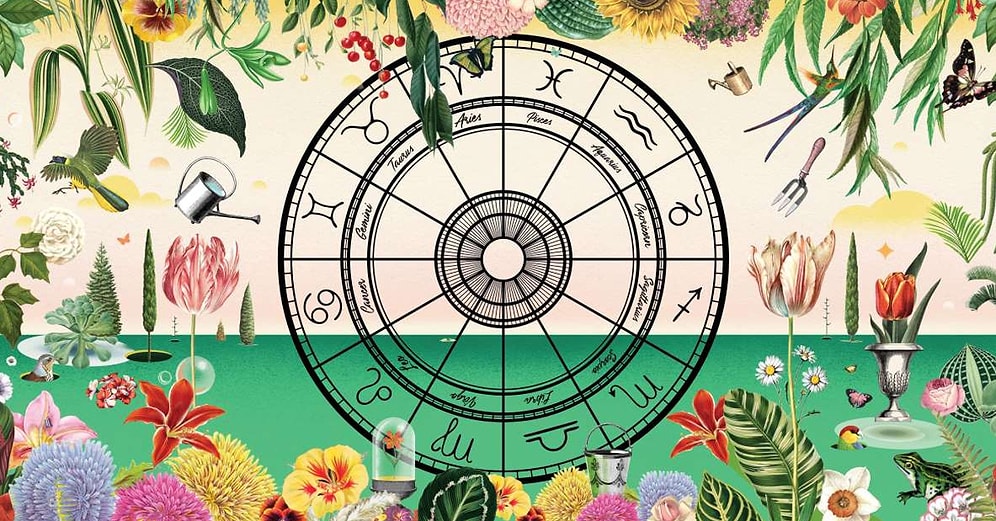 Bu Bilgileri Başka Yerde Bulamazsınız! Hangi Çiçek Hangi Burcu Temsil Ediyor?