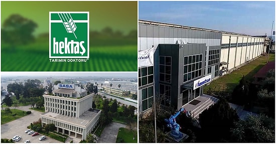 Yatırımcıları Zengin Oldu: Son 5 Yılda En Çok Yükselen 8 Hisse Senedi