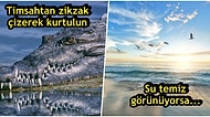 Bu Hataları Sakın Yapmayın! İnternette Dolaşan Ünlü "Hayatta Kalma İpuçları" Sizi Ölüme Sürükleyebilir!