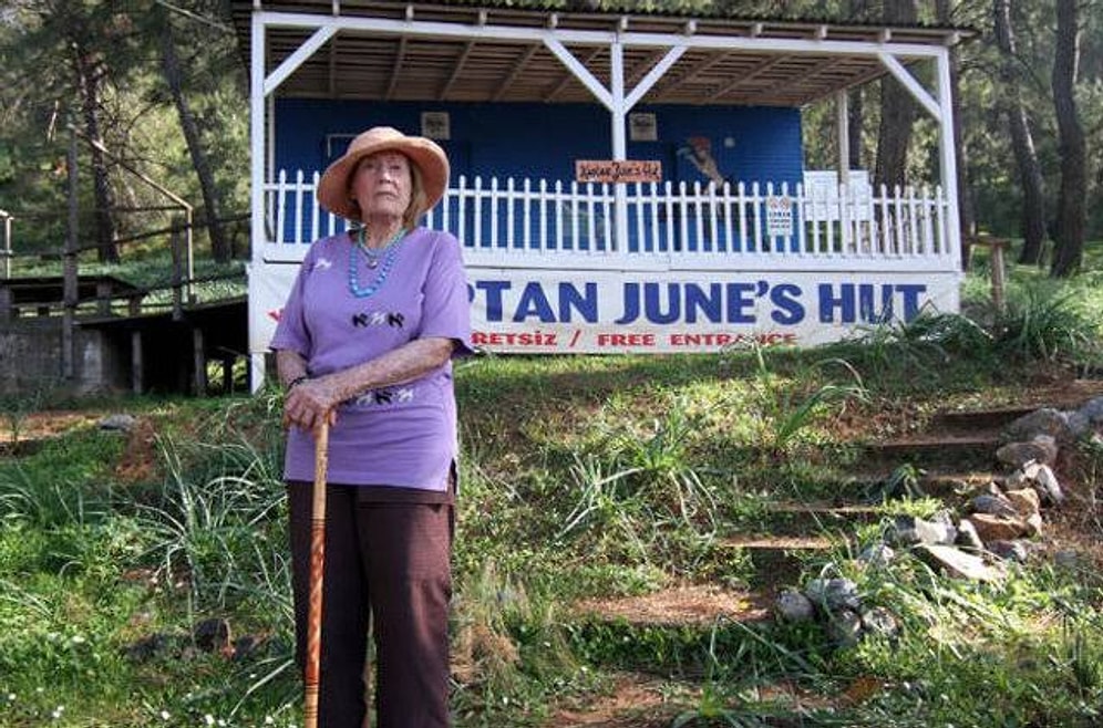 Caretta Carettaların Annesi June Haimoff Kimdir? June Haimoff Neden Vefat Etti, Hastalığı Neydi?