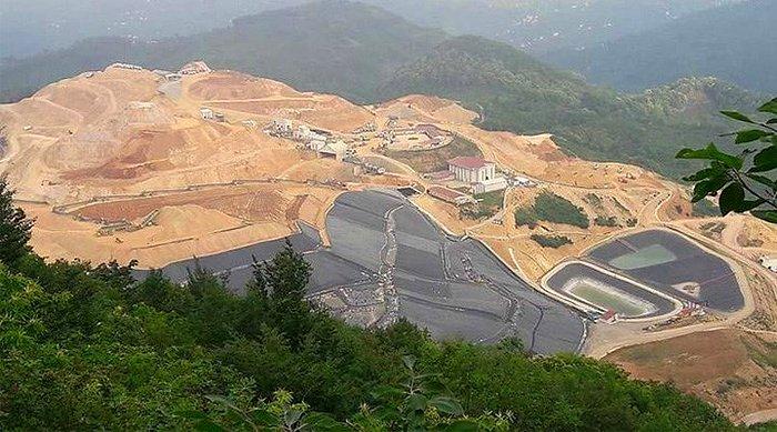 Danıştay, Zeytinliklerde Maden Faaliyetleri Yürütmeye İmkan Sağlayan Hükmün Yürütmesini Durdurdu