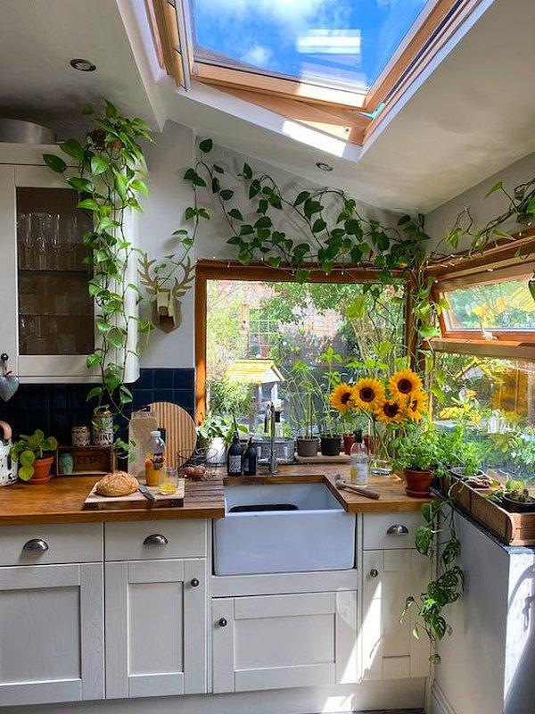 9. Hem tavanda hem de lavabonun önünde penceresi olan muhteşem bir mutfağa sahip olmayabilirsiniz.