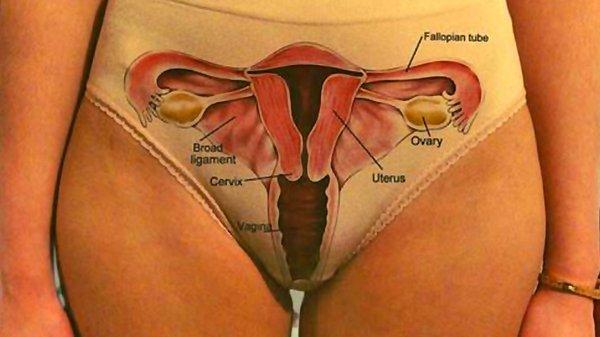 Önce vajina ve vulva kelimelerinin anlamlarına bir açıklık getirelim. Vajina vücudunuzun içinde bulunan, rahmi dışarıya bağlayan kas kanalına verilen addır. Vulva ise genital bölgenin dışarıdan görünebilen kısmıdır.
