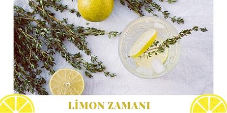 Bu Yaz Serin Bir Limonatayla Ferahlamak İçin Almanız Gereken Limon Sıkacakları