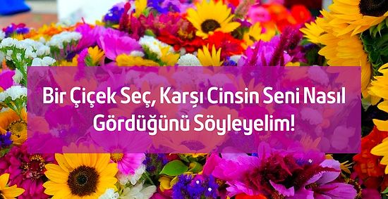 Bir Çiçek Seç, Karşı Cinsin Seni Nasıl Gördüğünü Söyleyelim!