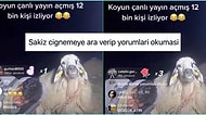 12 Bin İzleyicili TikToker Koyundan Safiye Soyman'ın Düğün Kombinine Son 24 Saatin Viral Tweetleri