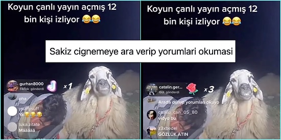 12 Bin İzleyicili TikToker Koyundan Safiye Soyman'ın Düğün Kombinine Son 24 Saatin Viral Tweetleri