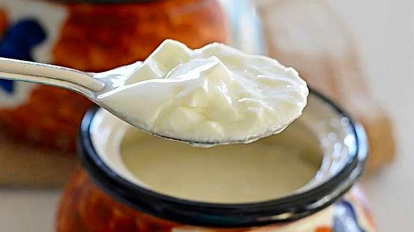 3. Yoğurt ve diğer mayalanmış süt ürünleri