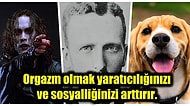 Öğrendiğiniz Anda  Bilgi Ansiklopedisine Dönüşeceğiniz Birbirinden Etkileyici Kültürel Gerçekler