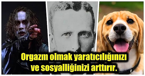 Öğrendiğiniz Anda  Bilgi Ansiklopedisine Dönüşeceğiniz Birbirinden Etkileyici Kültürel Gerçekler