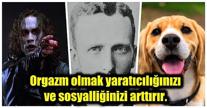 Öğrendiğiniz Anda  Bilgi Ansiklopedisine Dönüşeceğiniz Birbirinden Etkileyici Kültürel Gerçekler