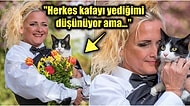 Ev Sahibi Evcil Hayvanlara İzin Vermediği İçin Çareyi Kedisiyle Evlenmekte Bulan Yeni Gelinin İlginç Hikayesi