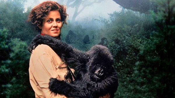 13. Gorillas in the Mist: The Story of Dian Fossey (1988) IMDb: 7.0