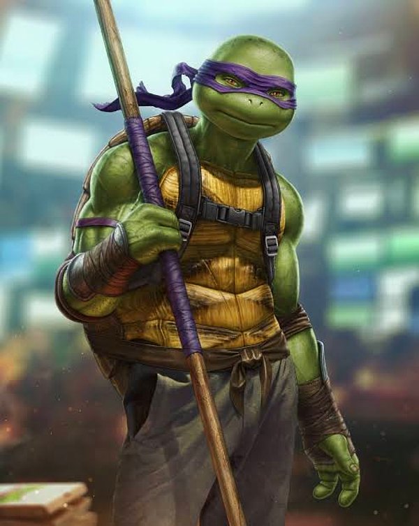 Donatello Raphael