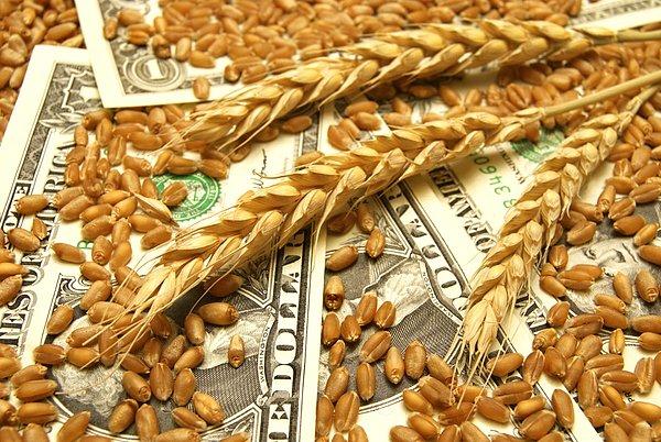 Raporda, buğday fiyatlarının yüzde 40'tan fazla artarak bu yıl nominal olarak tüm zamanların en yüksek seviyesine ulaşmasının beklendiği kaydedildi.