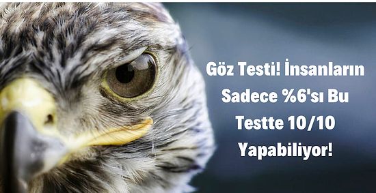 Göz Testi! İnsanların Sadece %6'sı Bu Testte 10/10 Yapabiliyor!