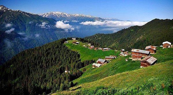 Huzurlu bir yayla tatili: Trabzon!