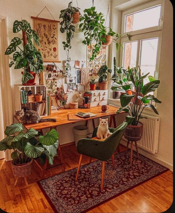 8. Şurada bir şeylerle uğraşmak istiyorum, ne olduğu önemli değil.