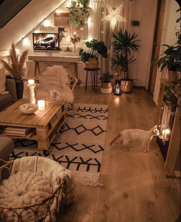 14. Çiçeklerden ziyade yeşil yapraklı bitkilerden yanaysanız...