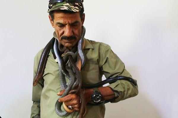 "Tüm Arap ülkelerinden uzmanlardan oluşan bir ekibimiz var ve yılan sokması vakalarında birbirimize yardım ediyoruz.”