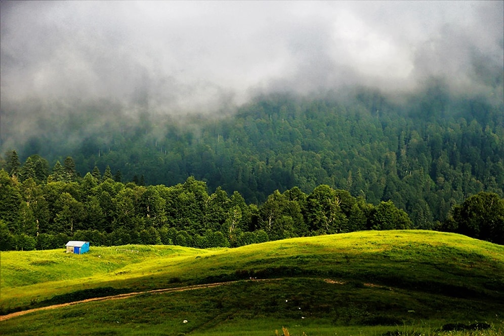 Sit Alanları İçinde Kalan Yasaklı Taşınmazlar, Hazine Taşınmazlarıyla Takas Edilebilecek