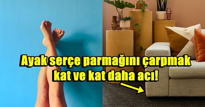 Kafamızda Yine Deli Sorular: Eğer Tırnaklarımız Olmasaydı Vücudumuzda Nasıl Problemler Olurdu?