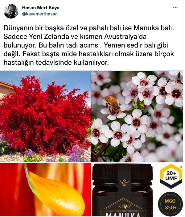 16. Manuka balı: