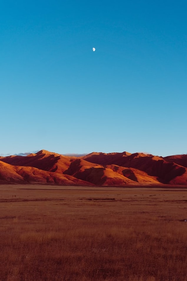 Nevada