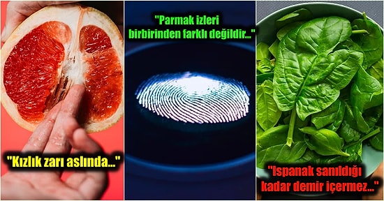 Yıllardır Körü Körüne İnandığınız ama Doğrusunu Duyduğunuzda Adeta Kafanızdan Kaynar Sular Boşaltacak 27 Mit