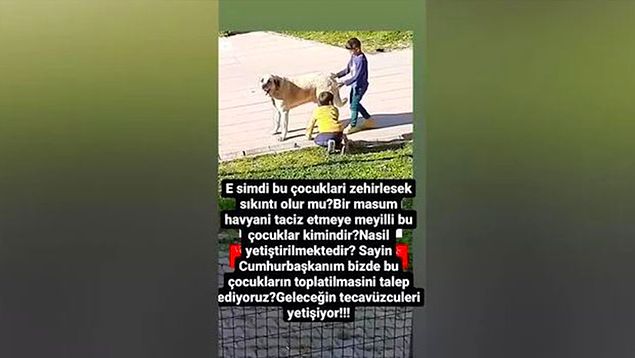 Deniz Akkaya Kaldığı Yerden Devam Ediyor: Bu Çocukların Toplatılmasını Talep Ediyoruz!