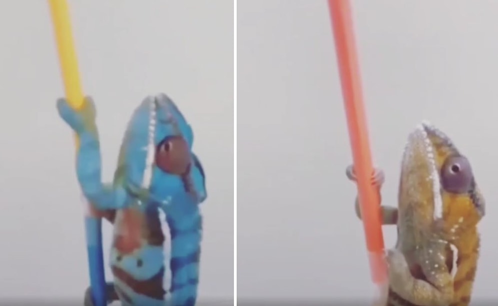 Şahan Gökbakar, 'Ülkemizde Bir Grup Basın' Diyerek 'Fake' Kaleme Göre Renk Değiştiren Bukalemun Paylaştı