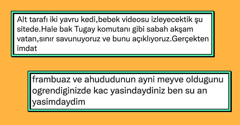 Mükremin'in Çocuğundan Aşk Doktoruna Dönen Manitasız Bahtsıza Son 24 Saatin Viral Tweetleri