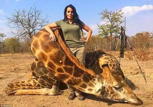 13. Para karşılığı bir fotoğraf için öldürülen zürafa...
