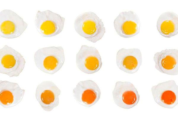 6. Yumurta sarısı yememek,