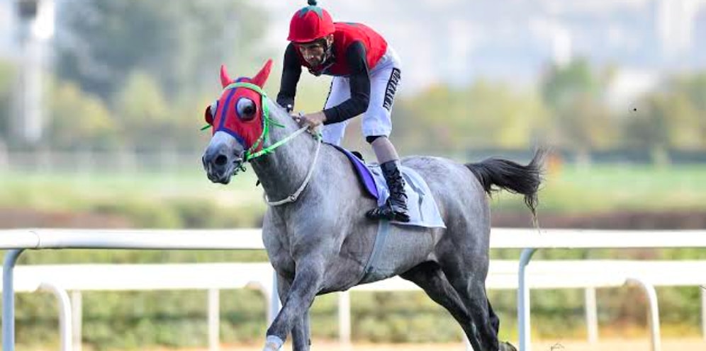 60. TBMM Koşusu'nu Sertberk, Jokeyi Mehmet Akyavuz ile Pist Rekoru Kırarak Kazandı