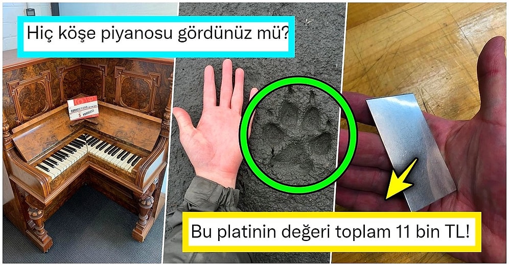 Günlük Hayatta Tesadüfen Karşılaştıkları En Acayip Durumları Paylaşırken Bizleri de Şaşırtan 31 Kişi