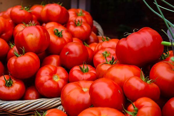 16. 1500lü yıllara kadar Meksika'dan İtalya'ya domates ticareti yapılmamıştır.
