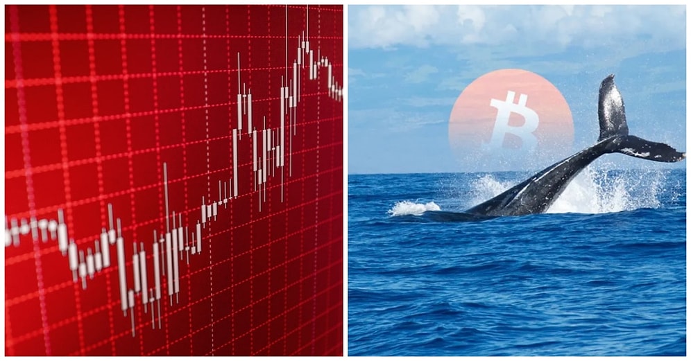 Kripto Para Piyasası Kan Ağlıyor: İşte Kripto Marketteki Son Fiyat Durumu!