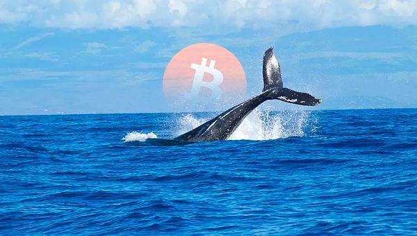 Bitcoin balinaları eldeki varlıklarını satmaya başladı.