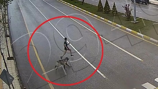 Sokak Köpeğinden Kaçarken Düşerek Dalağı Parçalanan, Böbreği Yırtılan Çocuğun O Anları Kamerada