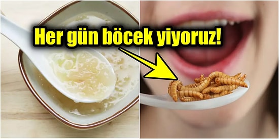 Gündelik Hayatımızın Ayrılmaz Parçası Olan Yiyecekler Hakkında Ufkunuzu Genişletecek Çok İlginç 12 Bilgi